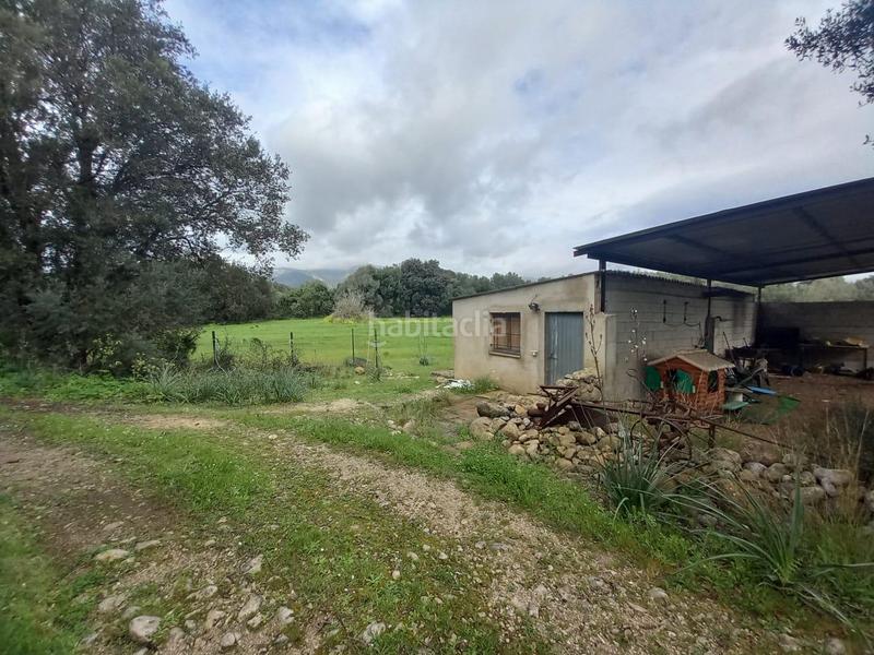 Foto a84b6ab8-f15c-4758-bd05-87f771f26397. Finca rústica a Selva