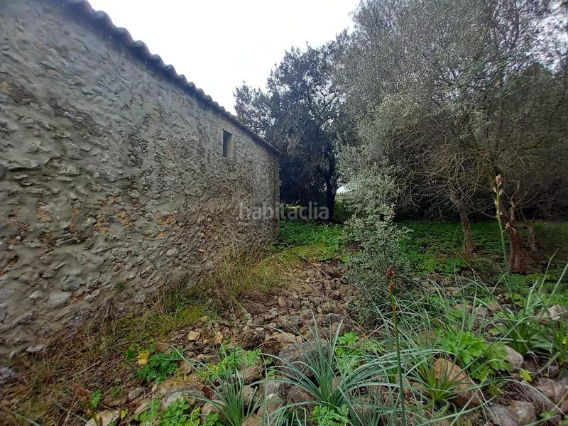 Foto cd01de68-7d78-4f45-9719-8c21ded7f171. Finca rústica a Selva