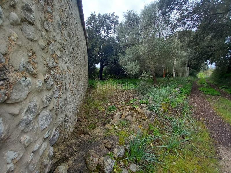 Foto d1d235e3-d0e4-447f-8664-8748c95b4aa2. Finca rústica a Selva