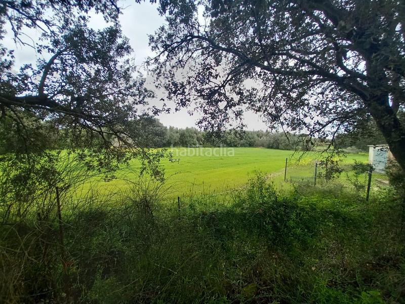 Foto e308dff2-5703-4bd4-a76b-f0578e3ee943. Finca rústica a Selva