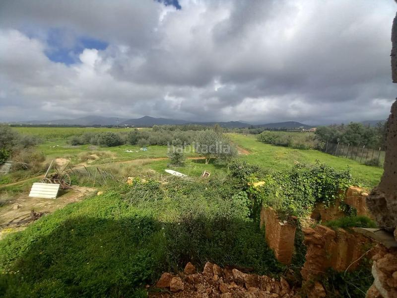 Foto b2a697cc-d333-41e7-9432-81201e5c7521. Finca rústica venta de tres parcelas por separado o en conjunto. en Consell