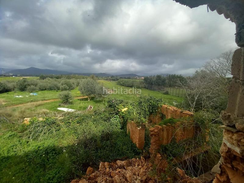 Foto ec37f428-4939-480e-87e1-6aaf7e6b9112. Finca rústica venta de tres parcelas por separado o en conjunto. en Consell