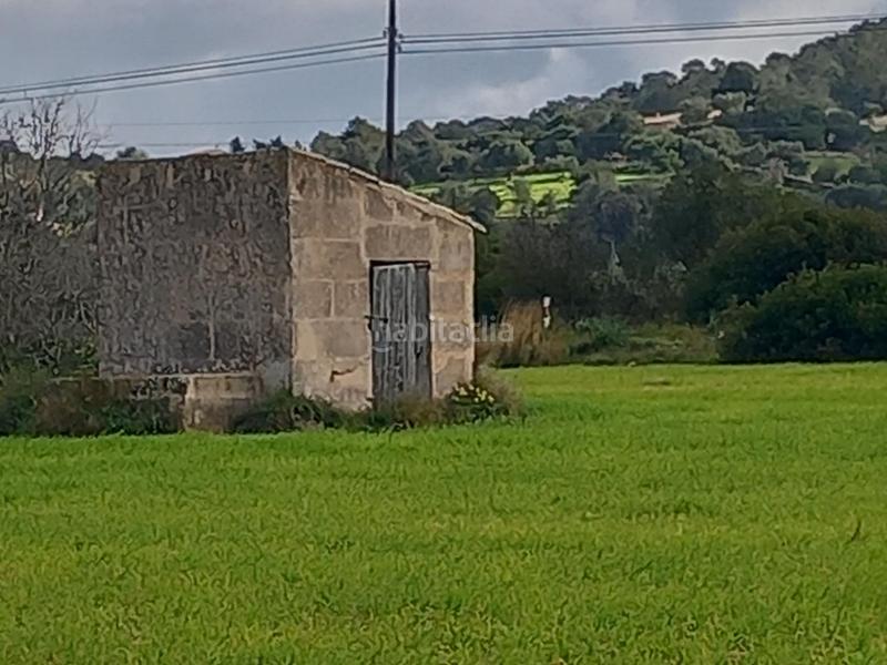 Foto 58a3988c-7ce9-4263-86a9-0e71ba568a5e. Propriété dans Manacor centre Manacor