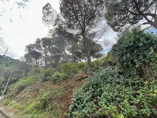 Finca rústica a Vilanova del Vallès. Magnifico terreno en la urbanización can alegre 1000m2