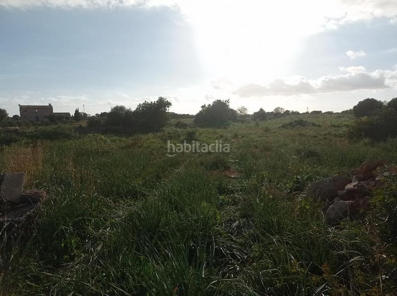 Foto 714aa286-0ee4-4228-b852-c07093dd6f39. Finca rústica a Santanyí poble Santanyí