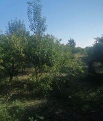 Rural plot in El Grao. A 5 minutos caminando del carrefour