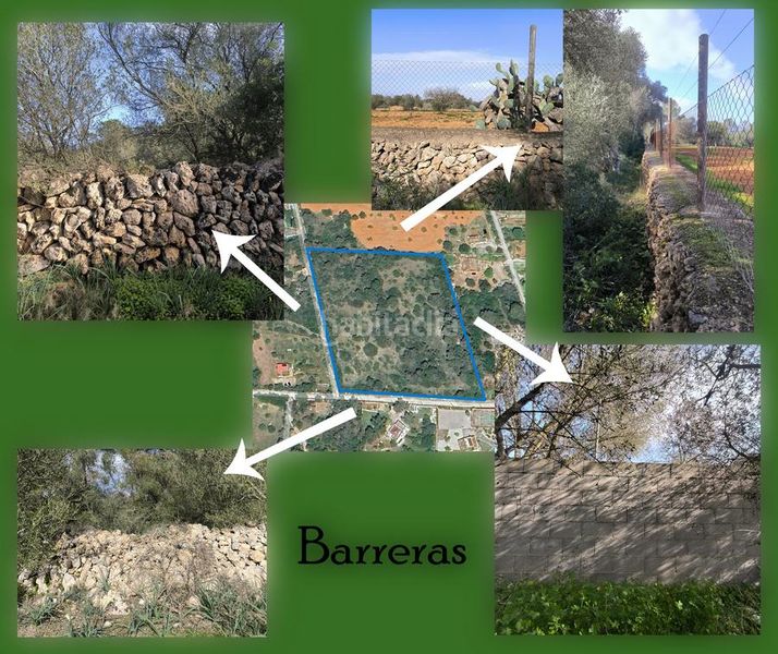 Foto 3f09df44-ab59-47c3-af1b-7846e662c624. Finca rústica a Algaida