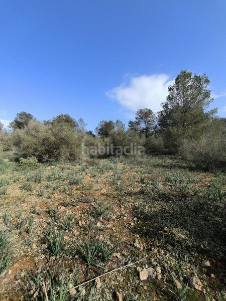 Foto 77a28822-52c9-4688-85b1-92ffdf9c461a. Finca rústica a Algaida