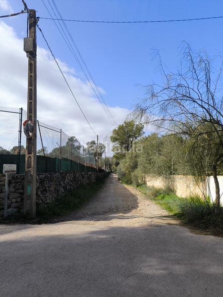 Foto 8d843356-0e0d-4d59-8365-bbacf64aad08. Finca rústica a Algaida
