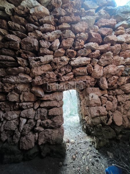 Foto f671f597-7b26-4c87-b075-295e0a77c625. Finca rústica a Algaida