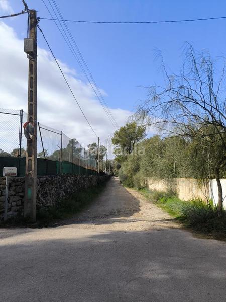 Foto 59a2af31-e37e-44cd-8078-8b81d2163324. Finca rústica urbanización en zona rústica entre palma en Algaida