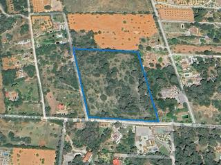 Finca rústica a Algaida. Urbanización en zona rústica entre algaida  palma