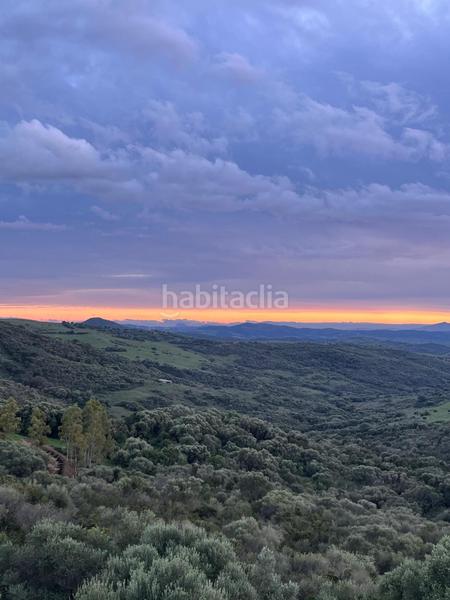 Foto 38da4a2e-4092-4cfe-8767-d4574d06622e. Masia amb calefacció piscina a Gaucín