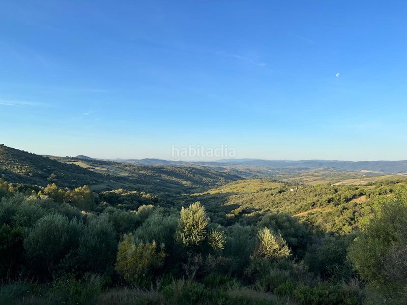 Foto aa302cee-ea76-45a8-a418-4e66b464ee41. Masia amb calefacció piscina a Gaucín