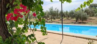 Masia a Andújar. Ctra,arroyo escobar a 5 minutos de andújar