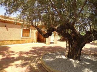 Chalet à Campos del Río. Excelentes vistas