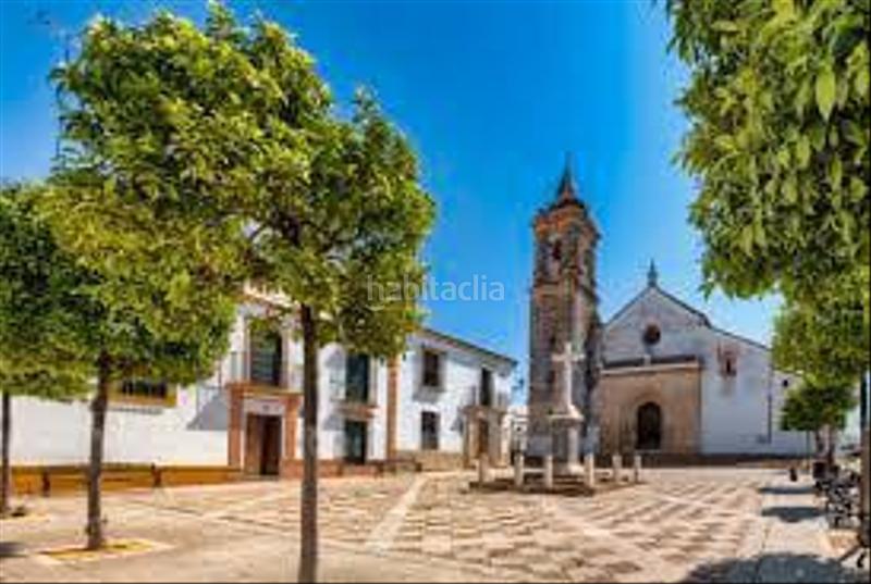 Foto 256499b8-c605-4075-a1e2-4fe90a6bc997. Piso  en venta en cam. alto las cuevas en El Pino-Bajo de Guía Sanlúcar de Barrameda