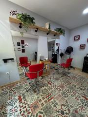 Business premise in Centro