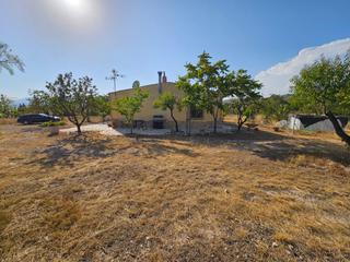 Masia a Salinas. Paraje camara baja