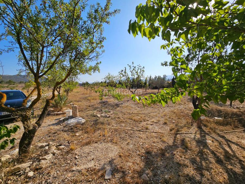 Foto ca6f51fe-1ca1-4c7a-85cd-daa64705756d. Casale in Salinas