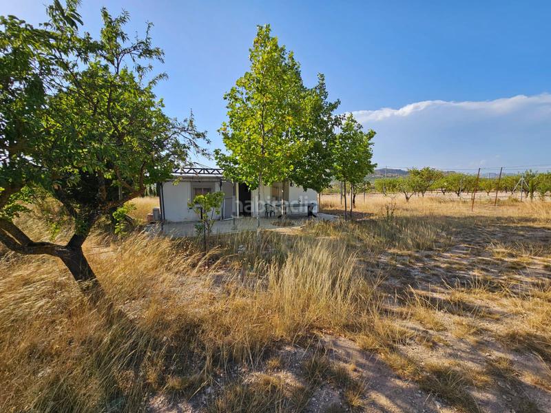 Foto cb8df149-8d4c-4f34-ba74-b2a1fbf86ce5. Casale in Salinas