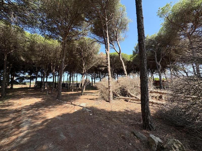 Foto 02643b6f-2c03-4893-9101-5ca8872c5a6f. Fondo rustico in Las Lagunas - Campano Chiclana de la Frontera