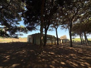 Finca rústica a Las Lagunas - Campano. Cerca del novo sancti petri.