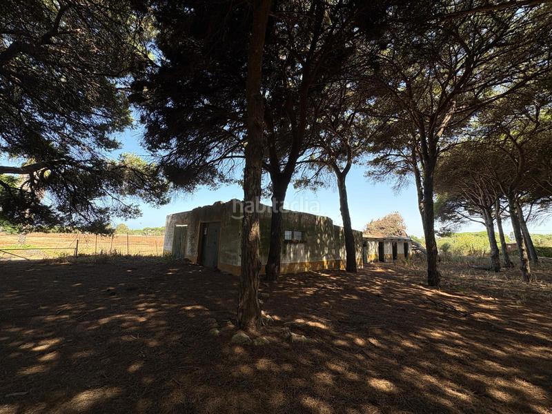 Foto 1eccf1ee-2188-4763-839c-bcb52288c4fd. Fondo rustico in Las Lagunas - Campano Chiclana de la Frontera