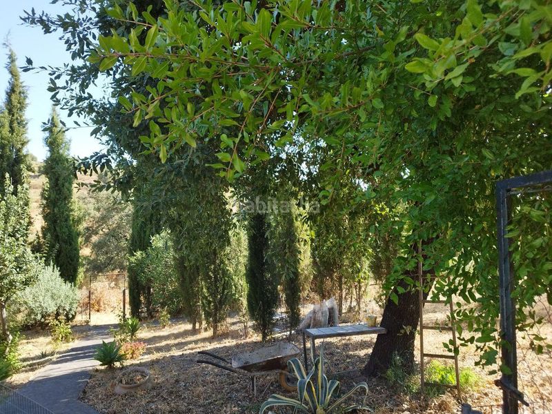 Foto c50076fd-e8c7-4254-a52b-a22740da9b6b. Chalet in Castillo de las Guardas (El)