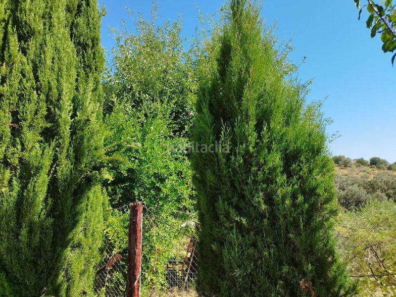 Foto f51c4ed3-d782-42f1-83d9-12d171a3dbb0. Chalet in Castillo de las Guardas (El)