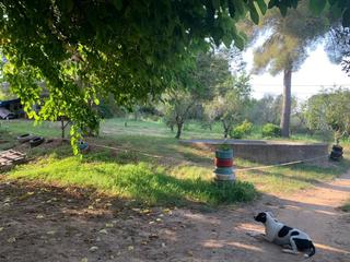 Finca rústica a Bardaji-El Molí de Baix. Urb.les estoreres