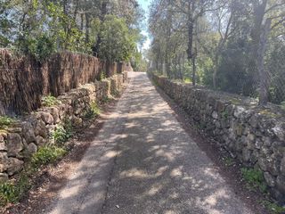 Fondo rustico in Pollença Poble. Ubicado entre bodegas xaloc y el golf de pollença