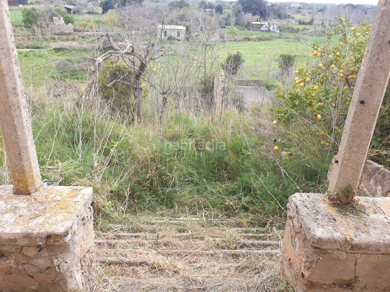 Foto 58869620-2942-46dd-914a-486e88de2f43. Bauernhof in Artà poble Artà