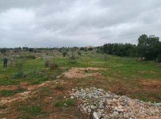 Propriété à Manacor Centre. Projecto para vivienda unifamiliar aislada con piscina