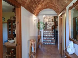 Bauernhof in Carretera de Sevilla - Los Montitos