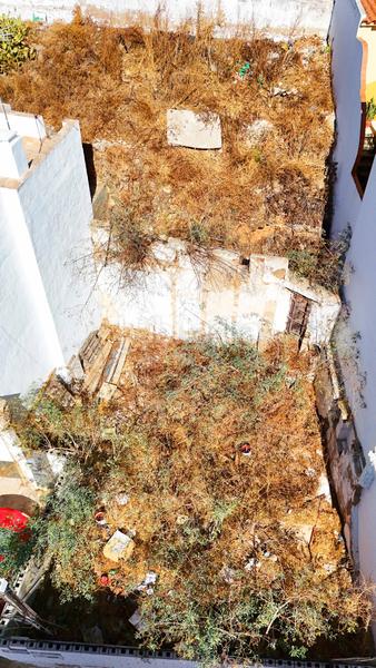 Foto a0bf61cd-fb24-4118-9598-7ee6d59c6411. Rural plot in Ayamonte ciudad Ayamonte