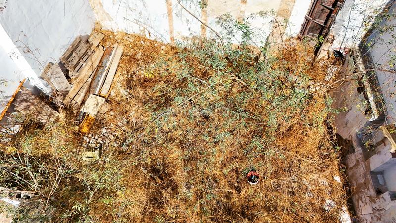 Foto a77e4182-c97f-40fa-ac0b-db6883a9f357. Rural plot in Ayamonte ciudad Ayamonte