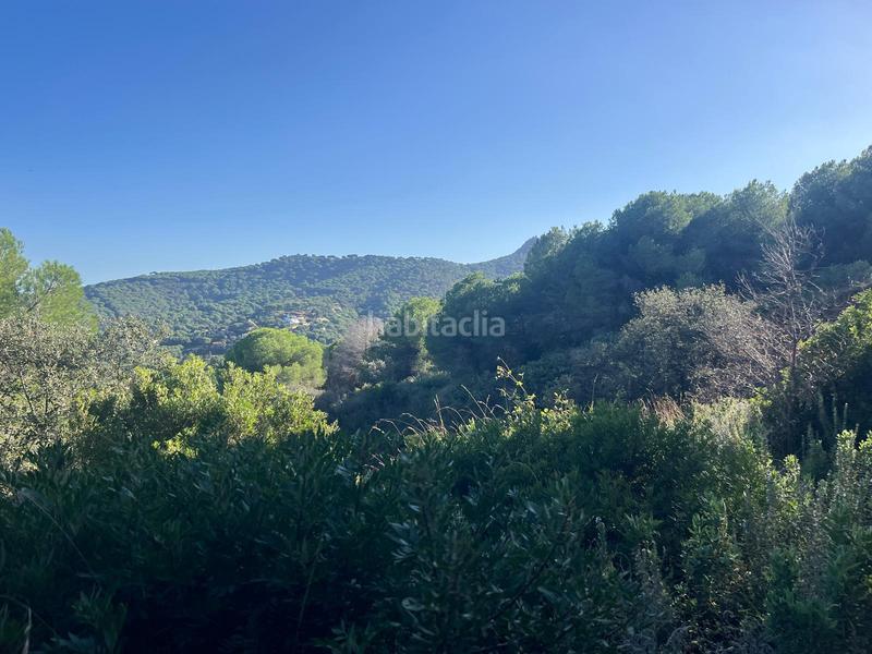 Foto 0388e774-25f5-4bf4-902b-ee43a4d0ce20. Finca rústica a Nucli Urbà Argentona