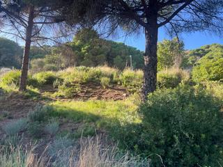Finca rústica a Nucli Urbà. Terreno en urbanización can barrau ii 5 min del centro