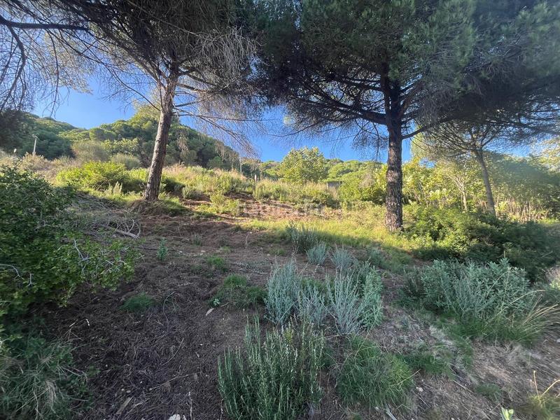 Foto 0fe26052-ae0a-4780-afe0-73e14b2baef7. Finca rústica a Nucli Urbà Argentona