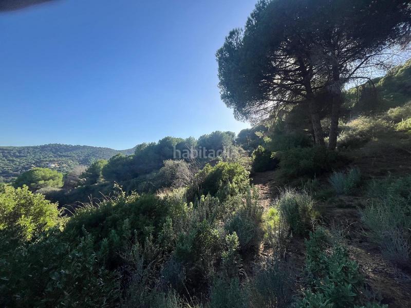 Foto 3602a4e8-7d11-4332-bd31-37e4232dd003. Finca rústica a Nucli Urbà Argentona