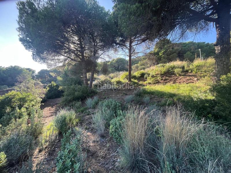 Foto 582789cc-1e8f-47c9-a38a-8998a070f7e1. Finca rústica a Nucli Urbà Argentona