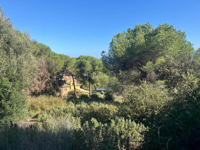 Foto d17f93f8-4a10-48c3-9fdb-4444ef27cf96. Finca rústica a Nucli Urbà Argentona