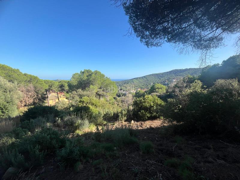 Foto ef4ffee1-a647-43ac-9a16-d5677cf91bde. Finca rústica a Nucli Urbà Argentona