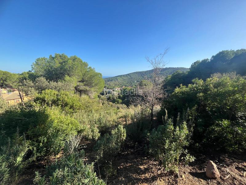 Foto f351a785-208c-4137-acb9-b745ca7f2dc8. Finca rústica a Nucli Urbà Argentona