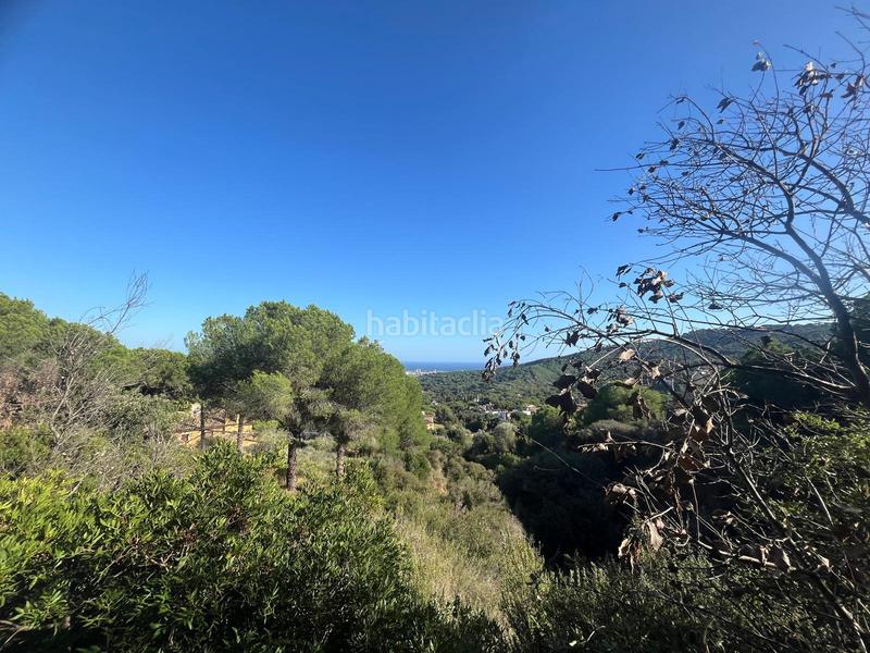 Foto f36e3724-9cfb-4df3-ae21-74f90b6381d5. Finca rústica a Nucli Urbà Argentona