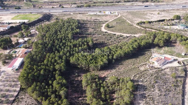 Foto 02503a4e-3cb5-4951-83e5-aca0c4cd6089. Finca rústica a Sax