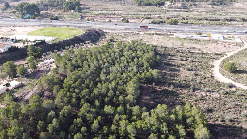 Foto 0b8628ba-9354-4a37-88e7-ccce067ed9df. Finca rústica a Sax