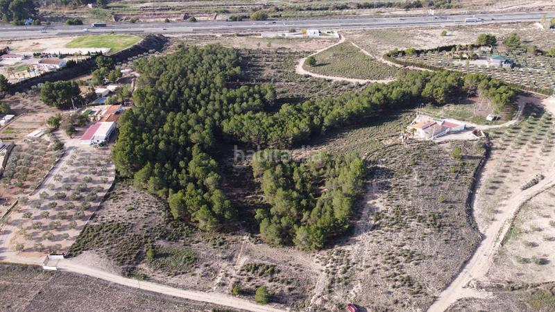 Foto 2cf0b729-c013-431a-8533-d4b027221a47. Finca rústica a Sax