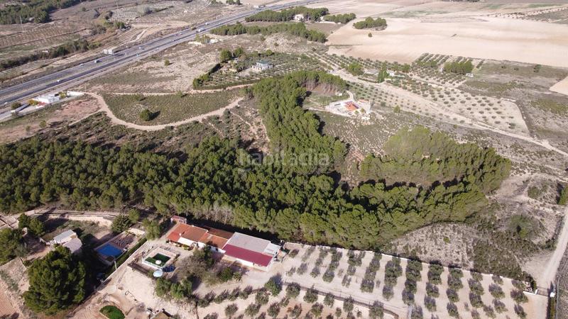 Foto 2d4b1fba-20a7-43f1-8d92-f7363819fb87. Finca rústica a Sax